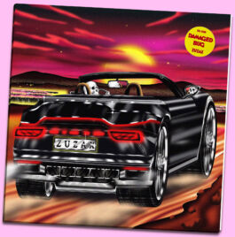  Image by Luca Schenardi